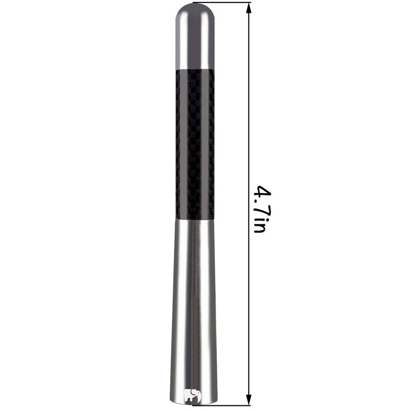 ONE250 Antenna, Compatible with Dodge RAM (1500, 2500, 3500), Grand Caravan, Sprinter, Neon, Stratus (Silver) - Image 3